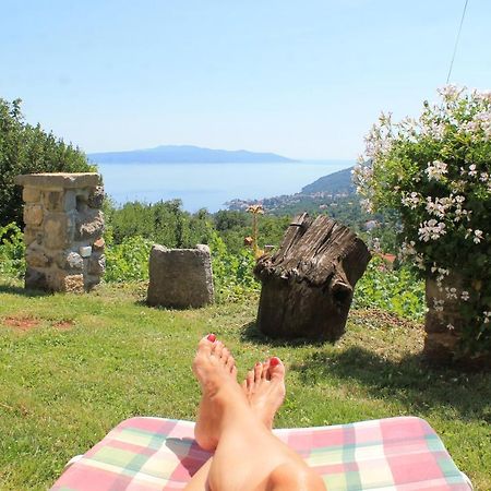 Sea View Apartment With Garden Near Opatija Veprinac Екстер'єр фото
