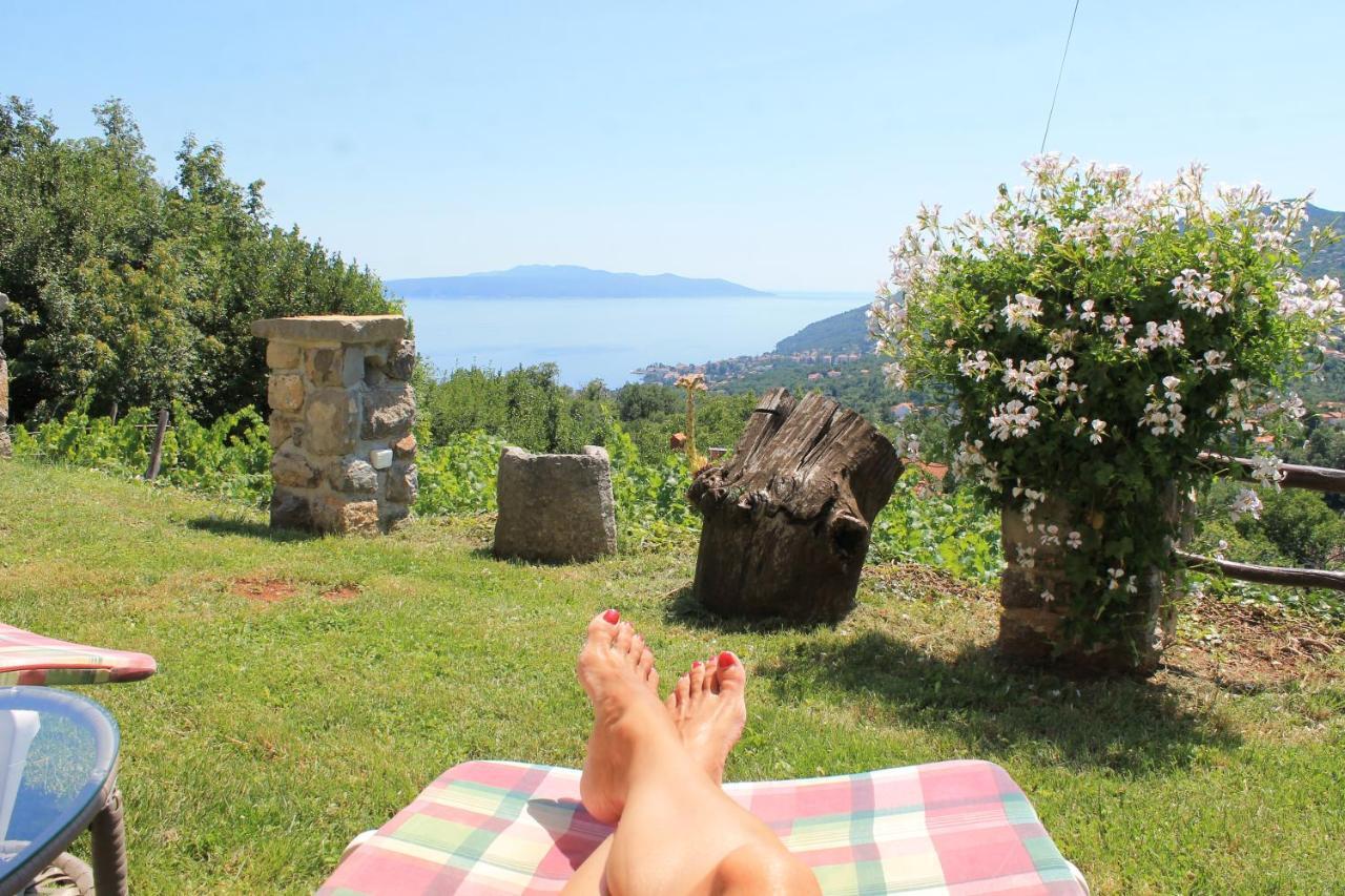 Sea View Apartment With Garden Near Opatija Veprinac Екстер'єр фото